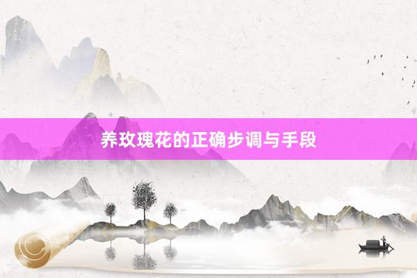 养玫瑰花的正确步调与手段