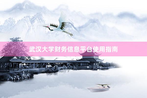 武汉大学财务信息平台使用指南